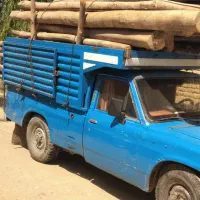 خریدهمه مدل چوب درخت وریشه سیب هیزم