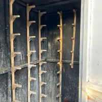 گنجه کفتری|پرنده|شیراز, گویم|دیوار