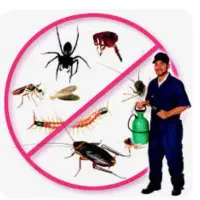 سم پاشی|خدمات باغبانی و درختکاری|قوچان, |دیوار