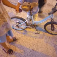 دوچرخه دخترانه ۱۶