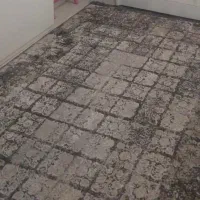 گلیم|گلیم، جاجیم، گبه|قزوین, |دیوار