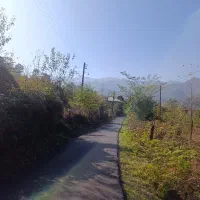 546متری کوهستانی سیاهمزگی شفت|فروش زمین و ملک کلنگی|احمدسرگوراب, |دیوار