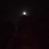 خانه اجاره یا رهن