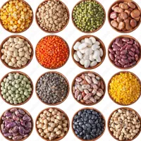 استخدام بازاریاب با بهترین حقوق و مزایا