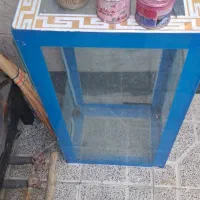 آکواریوم ماهی