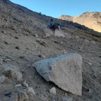 اسب خوب باری بدون هیچ مشکلی|اسب و تجهیزات اسب‌سواری|همدان, |دیوار