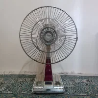 پنکه زمینی