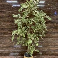درختچه تزئینی طرح طبیعی|گل مصنوعی|کیش, |دیوار