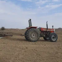 87 جفت مرتب و آماده بکار