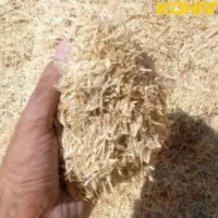 فروش ۴۵ شیلیف کاه گندم، موقعیت کاها شهر لالی هست