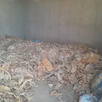 نان خشک|لوازم جانبی حیوانات|قم, قلعه صدری|دیوار