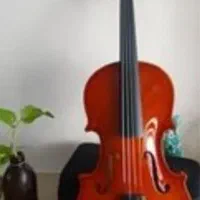 آموزش ویالون کلاسیک با نوجوان