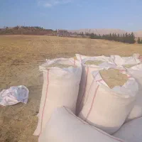 ۲۰۰ کیلو کاه داس درو درجه یک