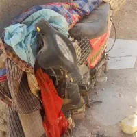 موتوربیکلاچ دایجی۱۳۰ تصادفی قابل معاوضه