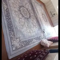 روکش|روفرشی|گمیشان, |دیوار