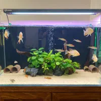 آکواریوم apa 100 50 50 فول لوازم