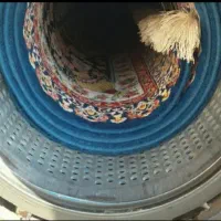 کارخانه قالیشویی تمام اتوماتیک آقای فرش|خدمات نظافت|یاسوج, |دیوار