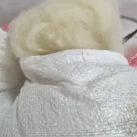 خانه|سفره، حوله، دستمال آشپزخانه|کرج, اسدآباد|دیوار