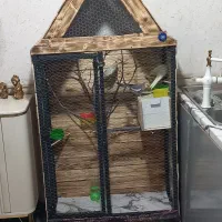 قفس پرنده قشنگو زیبا همراه ۲ عدد عروس