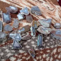 سنگ شجر پاییزه