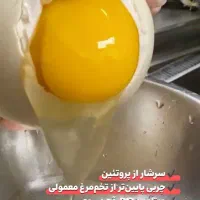 تخم مرغ نیمچه . جوجه وتخم اردک . غاز . بوقلمون