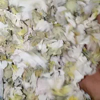 ختمی