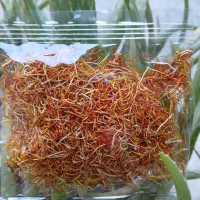 ریشه زعفران