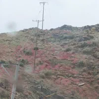 مقداری اهن ضایعات