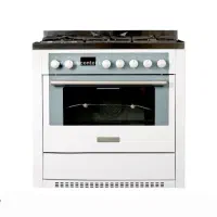 اجاق دوو اسنوا به قیمت قبل از افزایش