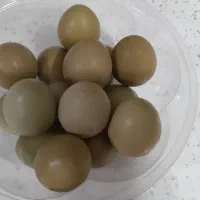 فروش تخم مرغ زینتی نژاد آمریکایی