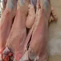 قصابی درمحل سیار سربریدن زبح گوسفندگوشت سلاخی قصاب