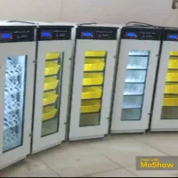 نمایندگی دستگاه جوجه کشی ' میناب|لوازم جانبی حیوانات|میناب, |دیوار