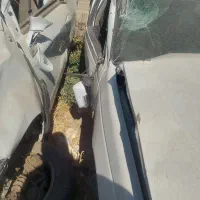 پارس تصادفی