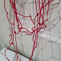 تور بسکتبال نو