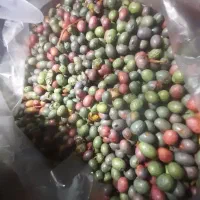 بنه