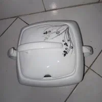 ظرف چینی
