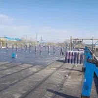 ایزوگام شرق