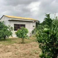 ویلا باغ 500 متری قیمت کل /فروش فوری/