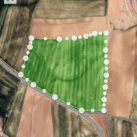 اجاره زمین دیم برای نخود و عدس|اجارهٔ دفتر صنعتی، کشاورزی، تجاری|الیگودرز, |دیوار