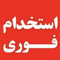 حسابدار و کمک حسابدار خانم