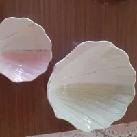 ذوعدد کاسه سالم‌ و شیک