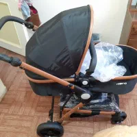 کالسکه دلیجان