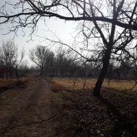 باغ الوان در روستای گوروان عجبشیر|فروش زمین و ملک کلنگی|عجب شیر, |دیوار