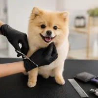 اصلاح و خدمات بهداشتی پِت در منزل