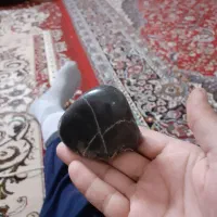 یک عددفسیل جا نوری طبیعی|کلکسیون اشیاء عتیقه|اشتهارد, |دیوار