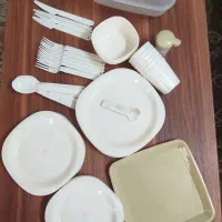 ظروف پیک نیک