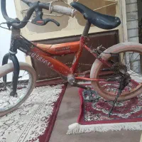 دوچرخه کار کرد|دوچرخه، اسکیت، اسکوتر|سوسنگرد, |دیوار