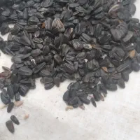 ۵۰کیلو تخمه سیاه روغنی کیلوی۴۰۰تومن
