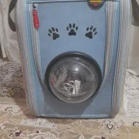 کیف توله سگ یاگربه
