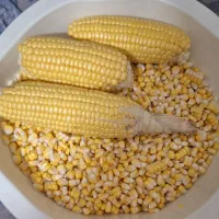 بلال دون شده مکزیکی